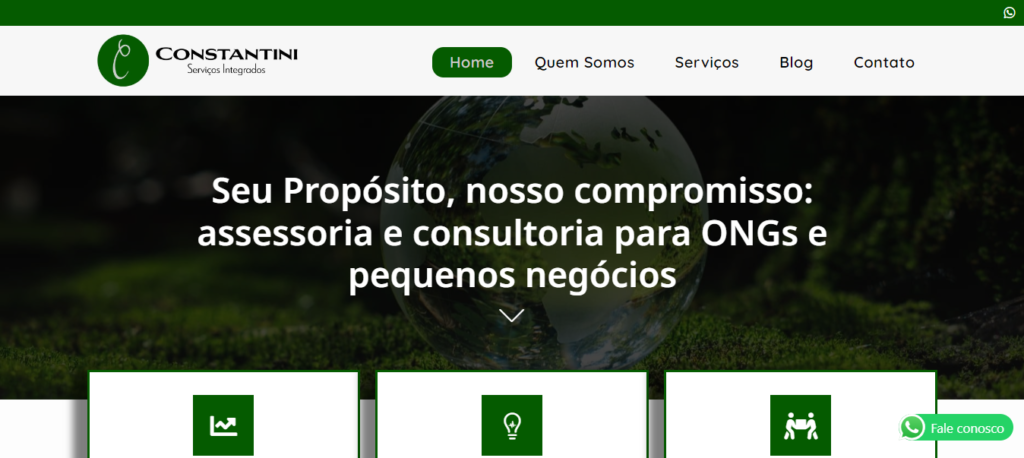 Criação de site Constantini